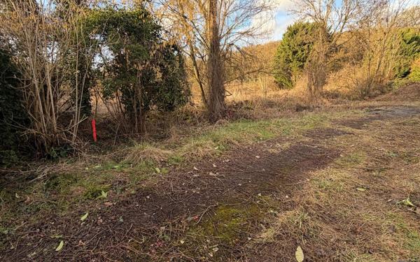 Terrain à vendre    Verrières-le-Buisson