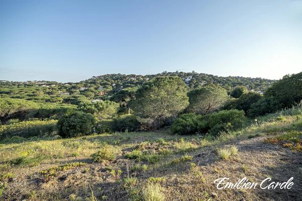 Terrain constructible à Sainte-Maxime