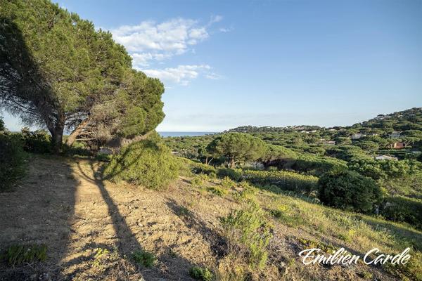 Terrain constructible à Sainte-Maxime