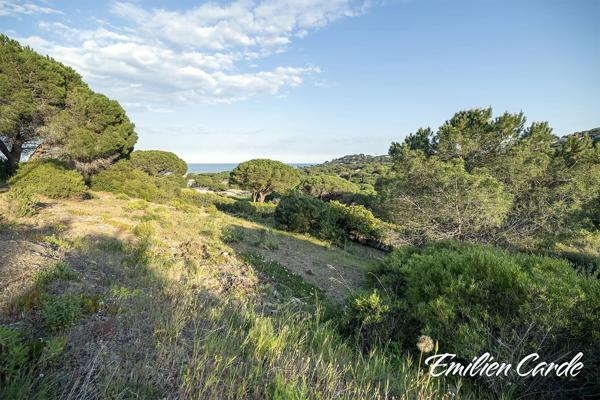 Terrain constructible à Sainte-Maxime