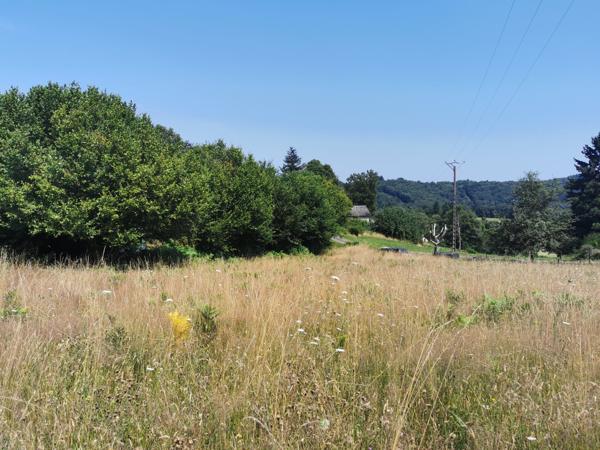 Terrain à vendre à Cheissoux (87460) - Haute-Vienne