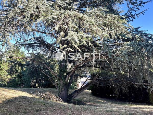 APPARTEMENT T2 RDC AVEC JARDIN AUSSONNE
