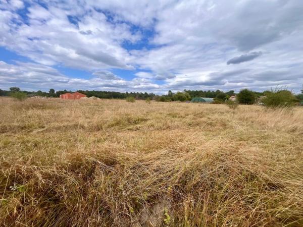 Vente / Terrain constructible à Bazas (33430)