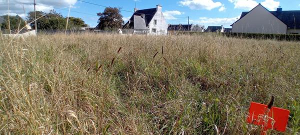 Terrain constructible - libre de constructeur