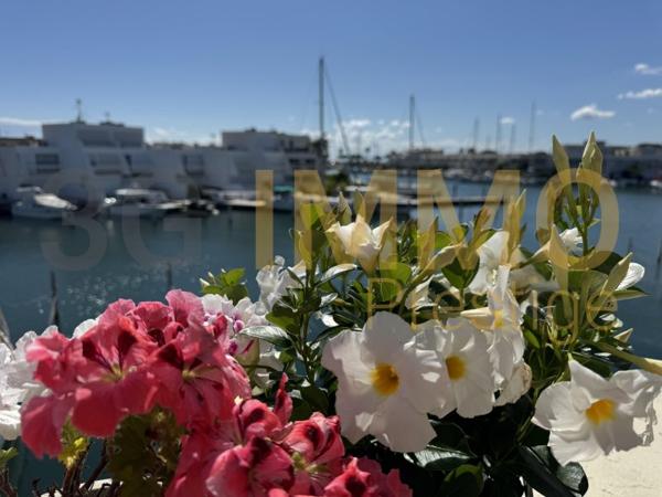 Vente / Appartement T4