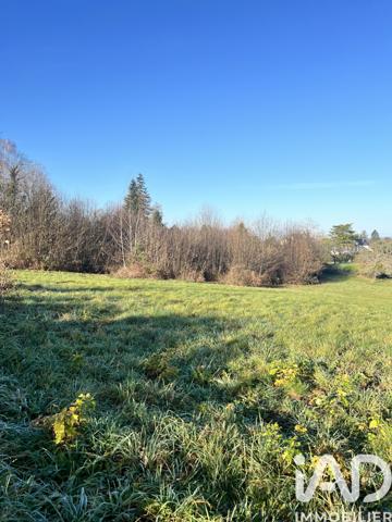 Terrain à vendre 11 487 m² Royères