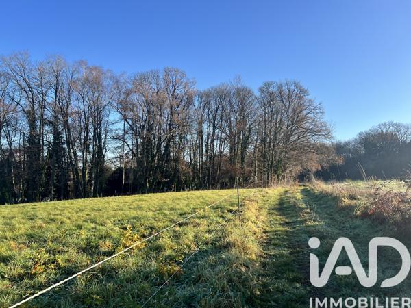 Terrain à vendre 11 487 m² Royères