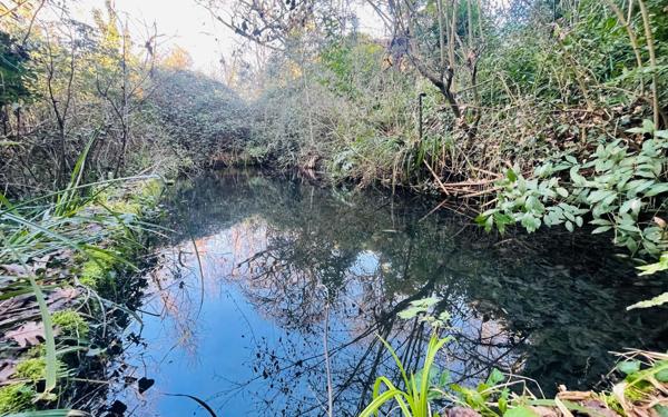 Maison à vendre    4 pièces •  Giroussens