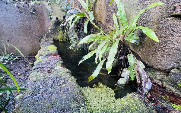Maison à vendre    4 pièces •  Giroussens