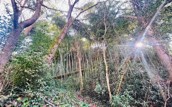 Maison à vendre    4 pièces •  Giroussens