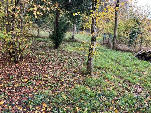 Maison à vendre à Palluau-sur-Indre dans l'Indre (36500), ref : 1051720