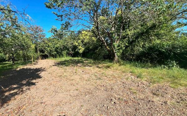 Terrain à vendre |  Dunes |  430 m²