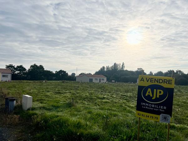Vente terrain Le Poire Sur Vie : 62 000 € - AJP Immobilier La Roche-sur-Yon