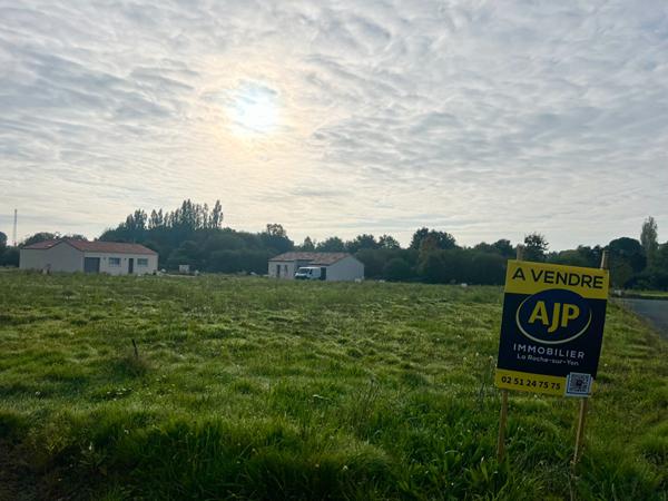 Vente terrain Le Poire Sur Vie : 62 000 € - AJP Immobilier La Roche-sur-Yon