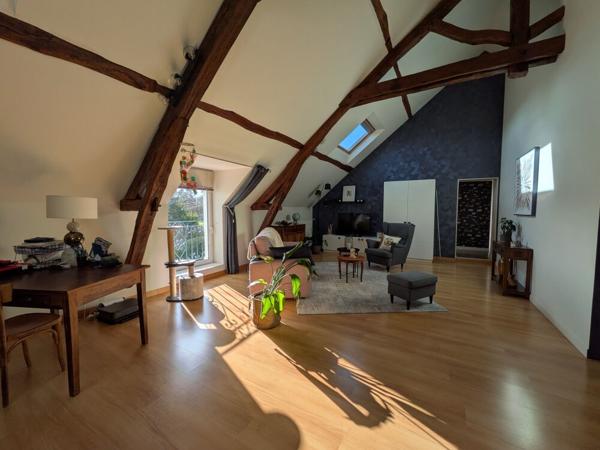 ONZAIN - 20 KMS DE BLOIS - 30 KMS D'AMBOISE