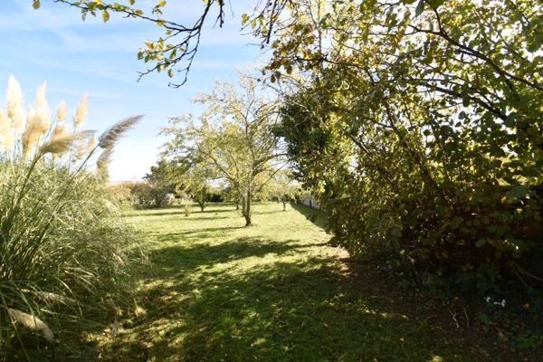 Ensemble de deux maison avec parc de 4000m², à Chaillac (36)