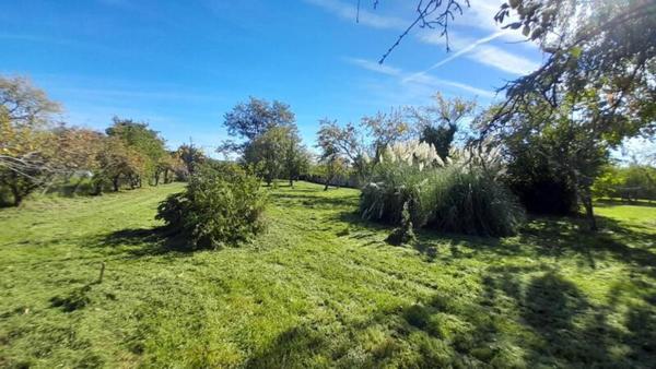 Ensemble de deux maison avec parc de 4000m², à Chaillac (36)