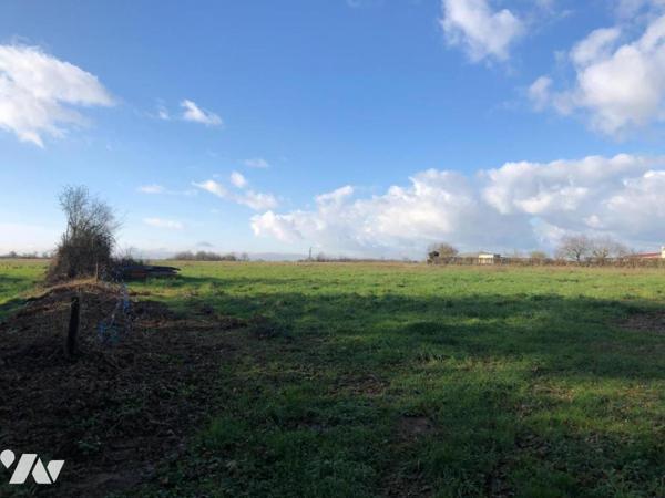 Terrain à Bâtir de 1 843 m²