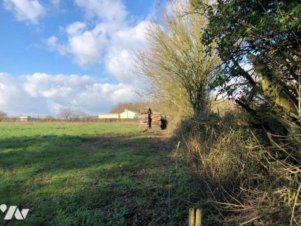 Terrain à Bâtir de 1 843 m²