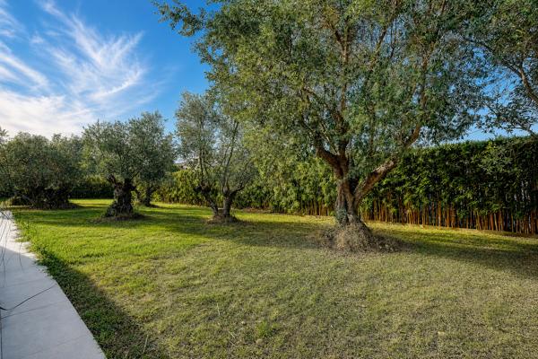 A vendre Colomiers (Garroussel) Villa contemporaine de 278 m2