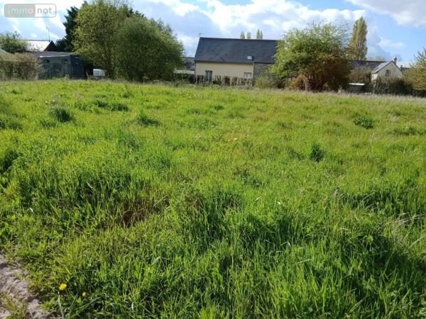 Achat - Terrain à bâtir Corné 49630 1006 m 2