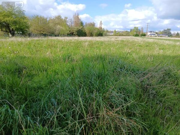 Achat - Terrain à bâtir Corné 49630 1006 m 2