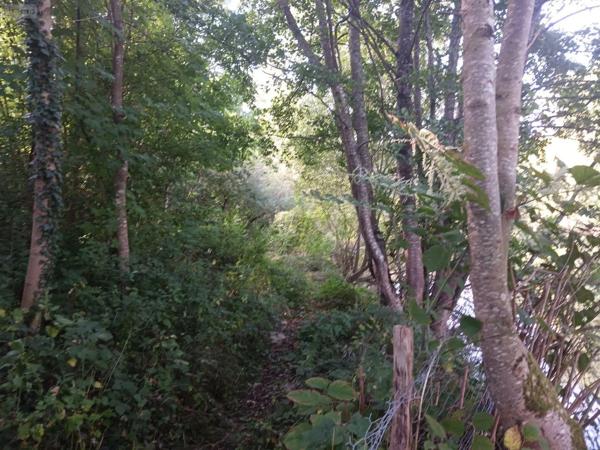 Achat - Terrain de loisirs, bois, étangs | Terrain non constructible Bar-sur-Seine 10110 6790 m 2