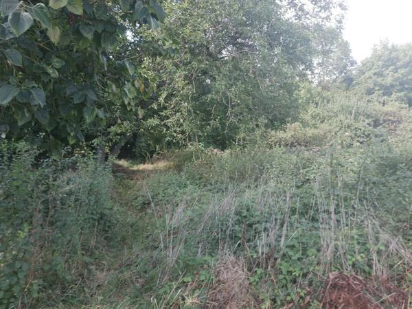 Achat - Terrain de loisirs, bois, étangs | Terrain non constructible Bar-sur-Seine 10110 6790 m 2