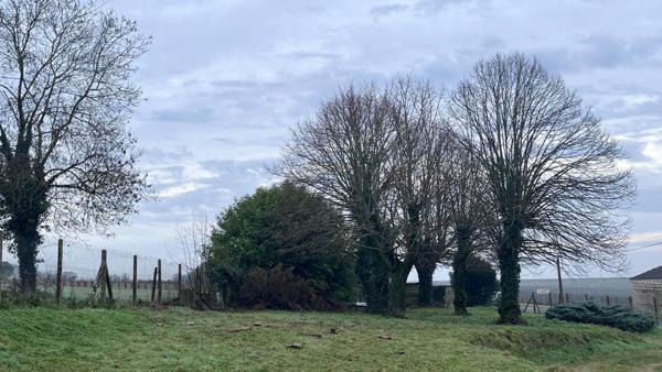 Belle maison charentaise