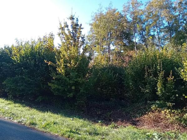 Terrain Saint Georges Motel 3450 m2