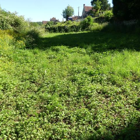 Venarey-les-Laumes 8 min., maison à rénover 4 pièces.
