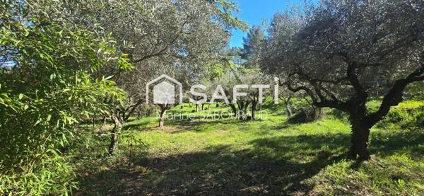 Maison + dépendance + Terrain constructible