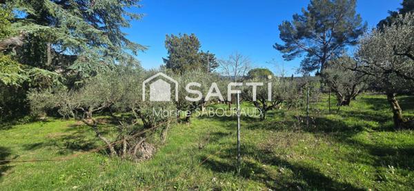 Maison + dépendance + Terrain constructible