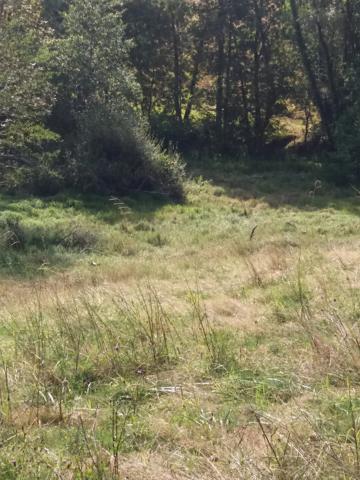ORTHEZ – Terrains naturels et agricoles de 15 070 m²