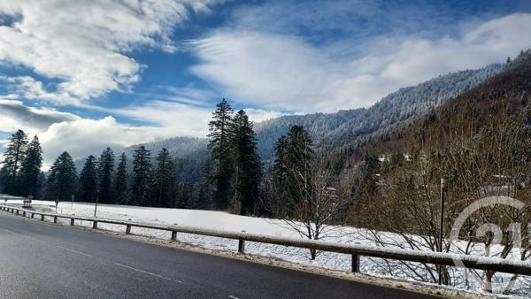 Appartement à vendre  2 pièces - 21 m2 LA BRESSE - 88