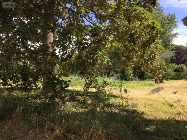 Terrain à Batir à vendre à Brion dans le Maine-et-Loire (49250), ref : 49107-1093