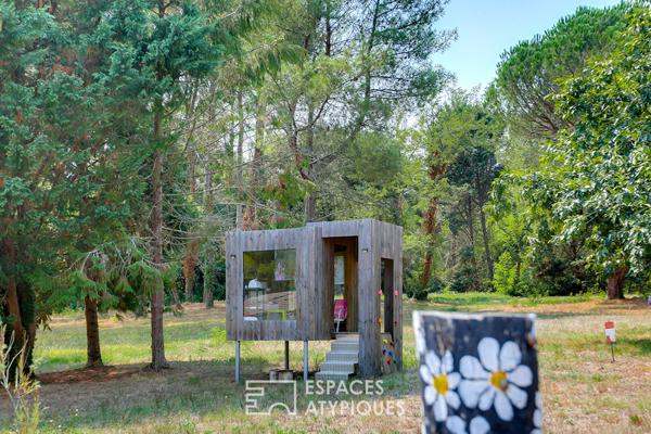 Bâtisse de 1850 rénovée avec piscine et dépendance dans les Landes