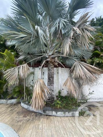 Maison à vendre  5 pièces - 162 m2 ST DENIS - 974