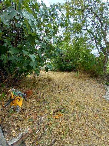Maison en pierres de 80m2 avec dépendance et jardinet