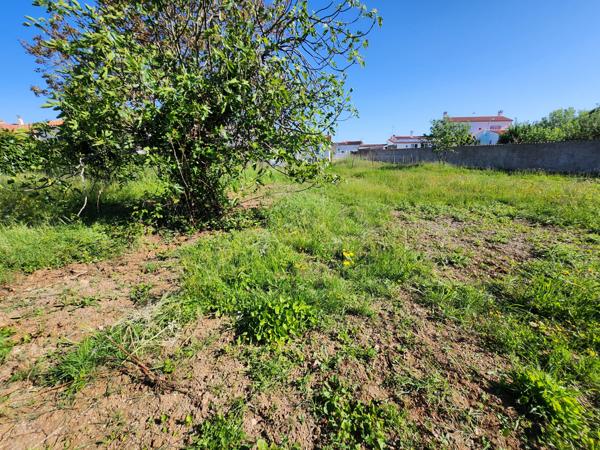 Magnils-Reigniers (85400) Terrain constructible totalement clos non viabilisé