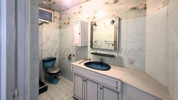 Maison à vendre 9 pièces (26)