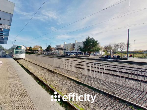 Appartement 3 pièces - 74 m² Exclusivité efficity