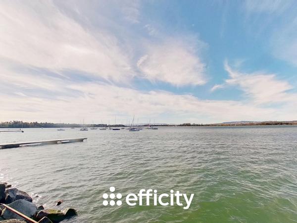 Appartement 3 pièces - 74 m² Exclusivité efficity