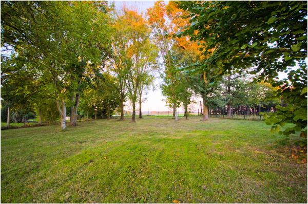 Maison à vendre 5 pièces JAUNAY CLAN (86)