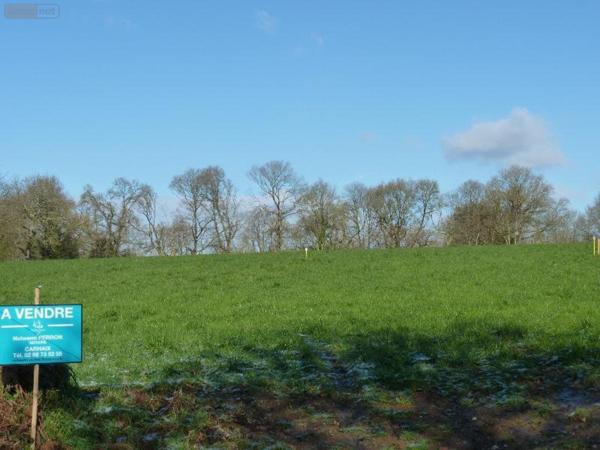 Terrain à Batir à vendre à Carhaix-Plouguer dans le Finistère (29270), ref : TABCA1