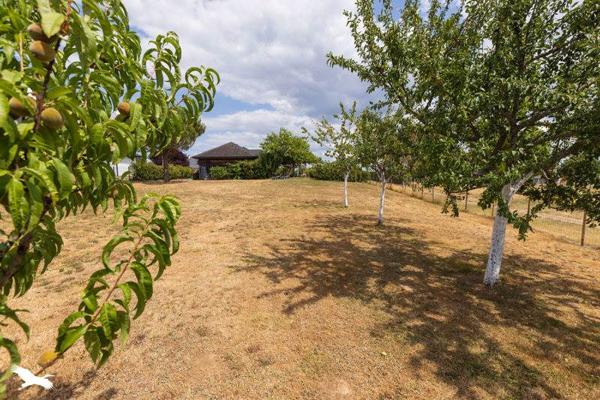 Maison à vendre 421 200 € Sainte-Féréole 5 p 157 m² DPE B