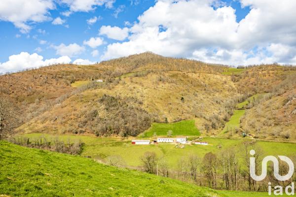 Maison à vendre 5 pièces 240 m² Saint-Martin-d'Arrossa