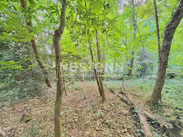 Terrain constructible Vauhallan 7 435 m² - 324 m² à bâtir + bois privé 7 000 m² - environnement naturel - sans vis-à-vis - Plateau de Saclay - Igny - Massy - Paris Sud