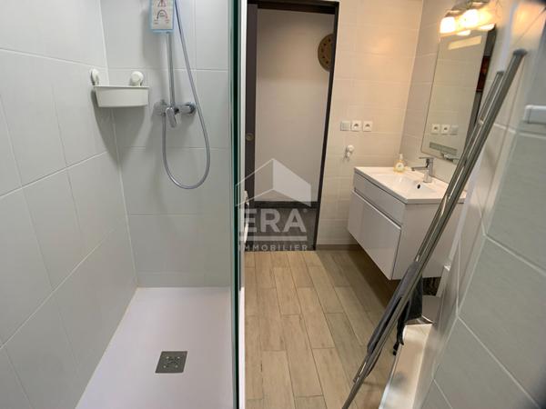 APPARTEMENT A LOUER T3 MEUBLE - BLOIS - CENTRE-VILLE, AMENAGE, EQUIPE ET DECORE, 2 CHBS