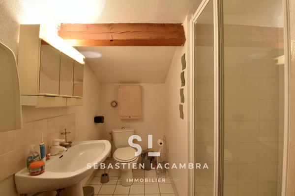 Lescure-d'Albigeois (81380) Maison familiale 6 pièces + jardin arboré sans vis-à-vis + Lescure-d’Albigeois + terrasses & piscine